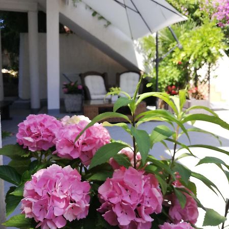 Apartments Poretti For 2,In Center Parking Free In The Yard,6 Min Beach Walk Rovinj Ngoại thất bức ảnh