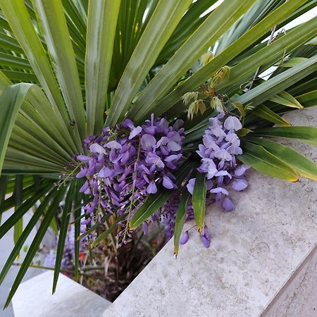 Apartments Poretti For 2,In Center Parking Free In The Yard,6 Min Beach Walk Rovinj Ngoại thất bức ảnh