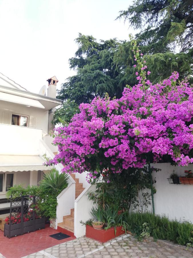 Apartments Poretti For 2,In Center Parking Free In The Yard,6 Min Beach Walk Rovinj Ngoại thất bức ảnh