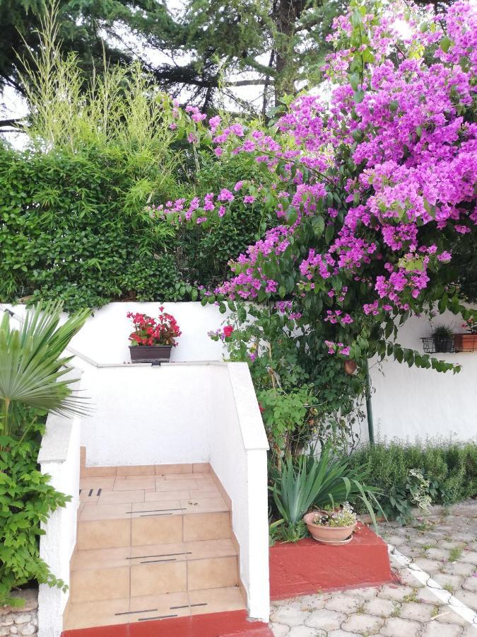 Apartments Poretti For 2,In Center Parking Free In The Yard,6 Min Beach Walk Rovinj Ngoại thất bức ảnh