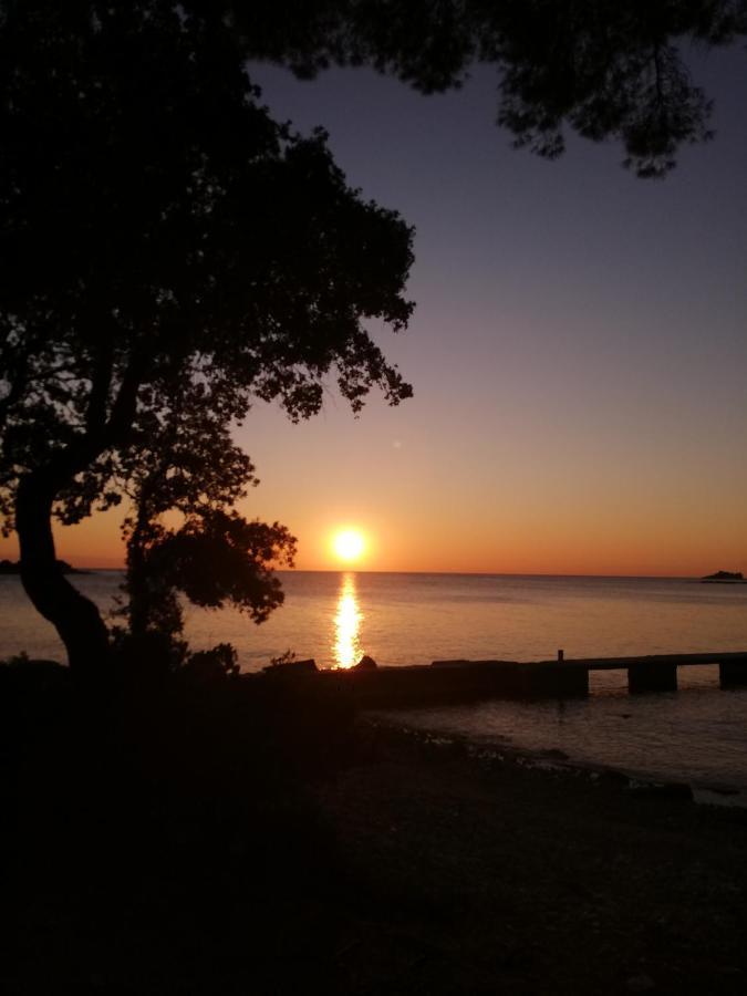 Apartments Poretti For 2,In Center Parking Free In The Yard,6 Min Beach Walk Rovinj Ngoại thất bức ảnh