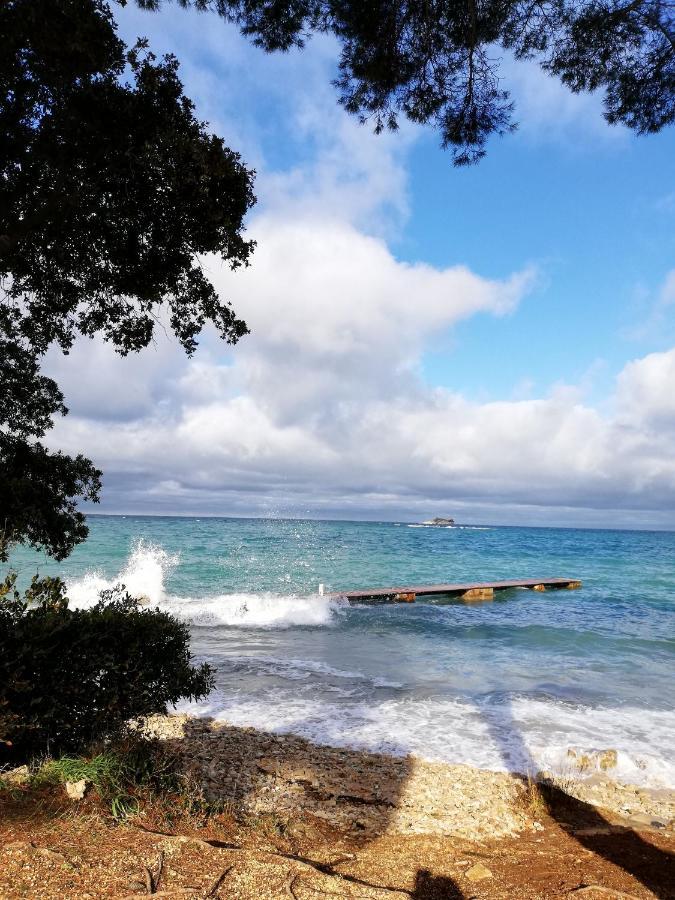 Apartments Poretti For 2,In Center Parking Free In The Yard,6 Min Beach Walk Rovinj Ngoại thất bức ảnh