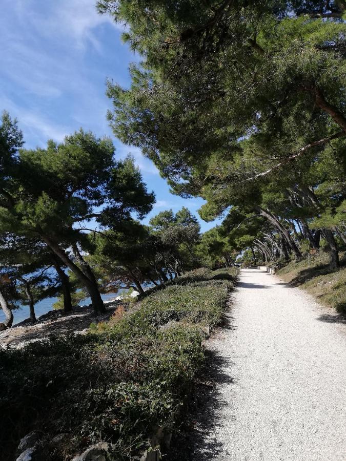 Apartments Poretti For 2,In Center Parking Free In The Yard,6 Min Beach Walk Rovinj Ngoại thất bức ảnh