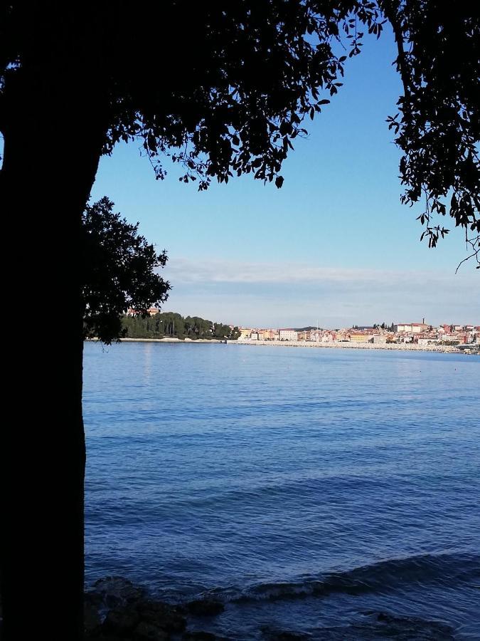 Apartments Poretti For 2,In Center Parking Free In The Yard,6 Min Beach Walk Rovinj Ngoại thất bức ảnh