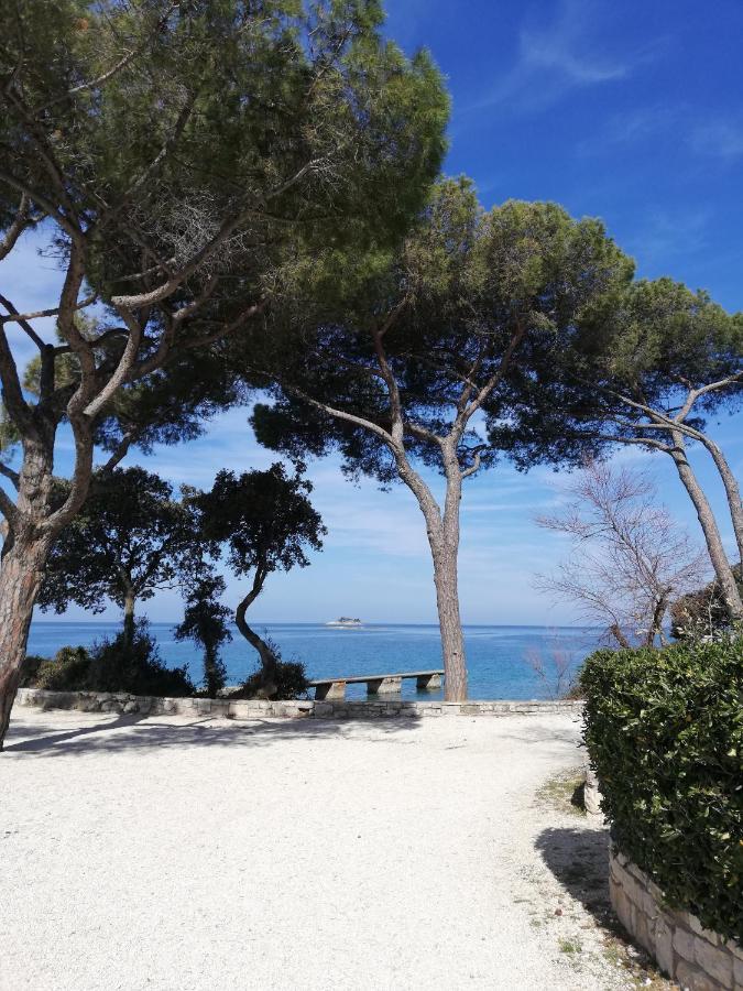 Apartments Poretti For 2,In Center Parking Free In The Yard,6 Min Beach Walk Rovinj Ngoại thất bức ảnh