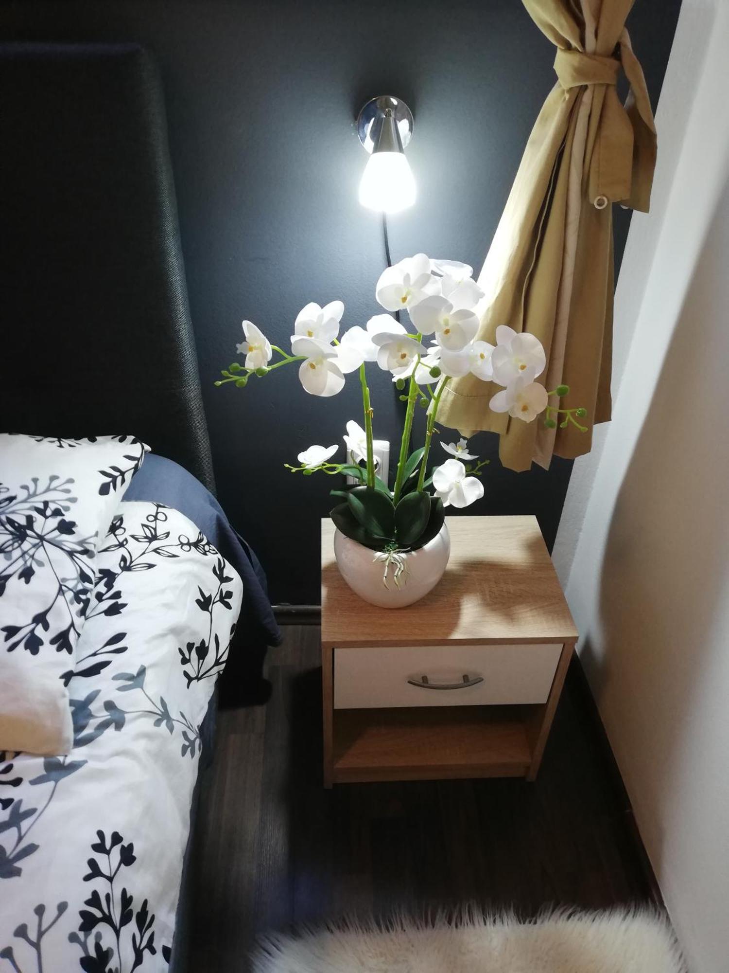 Apartments Poretti For 2,In Center Parking Free In The Yard,6 Min Beach Walk Rovinj Ngoại thất bức ảnh