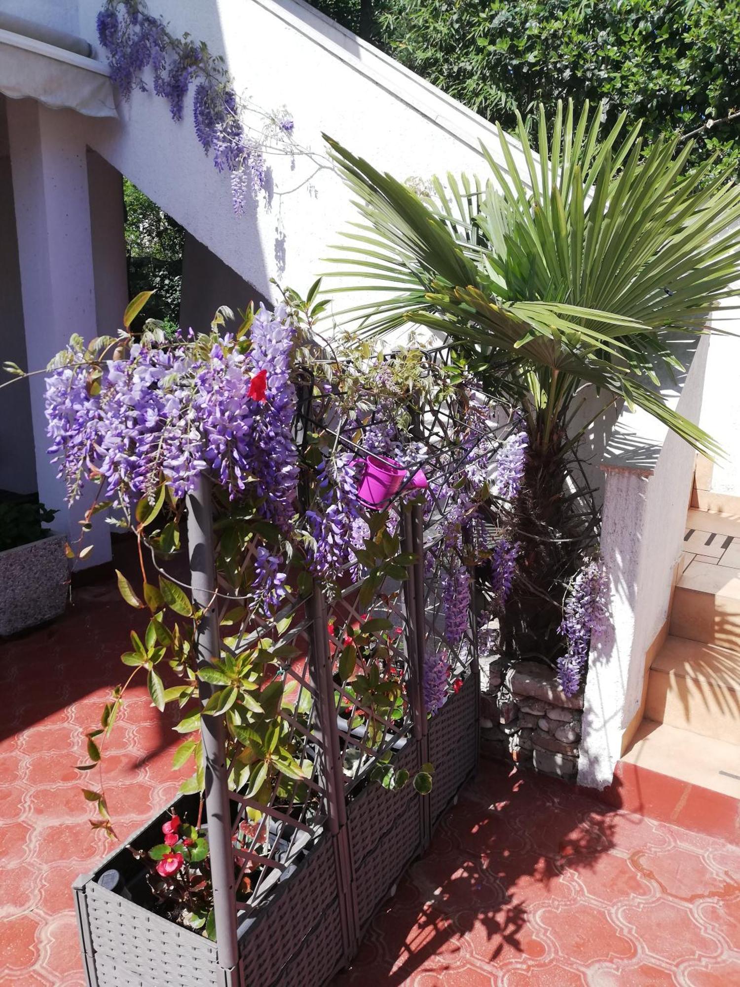 Apartments Poretti For 2,In Center Parking Free In The Yard,6 Min Beach Walk Rovinj Ngoại thất bức ảnh