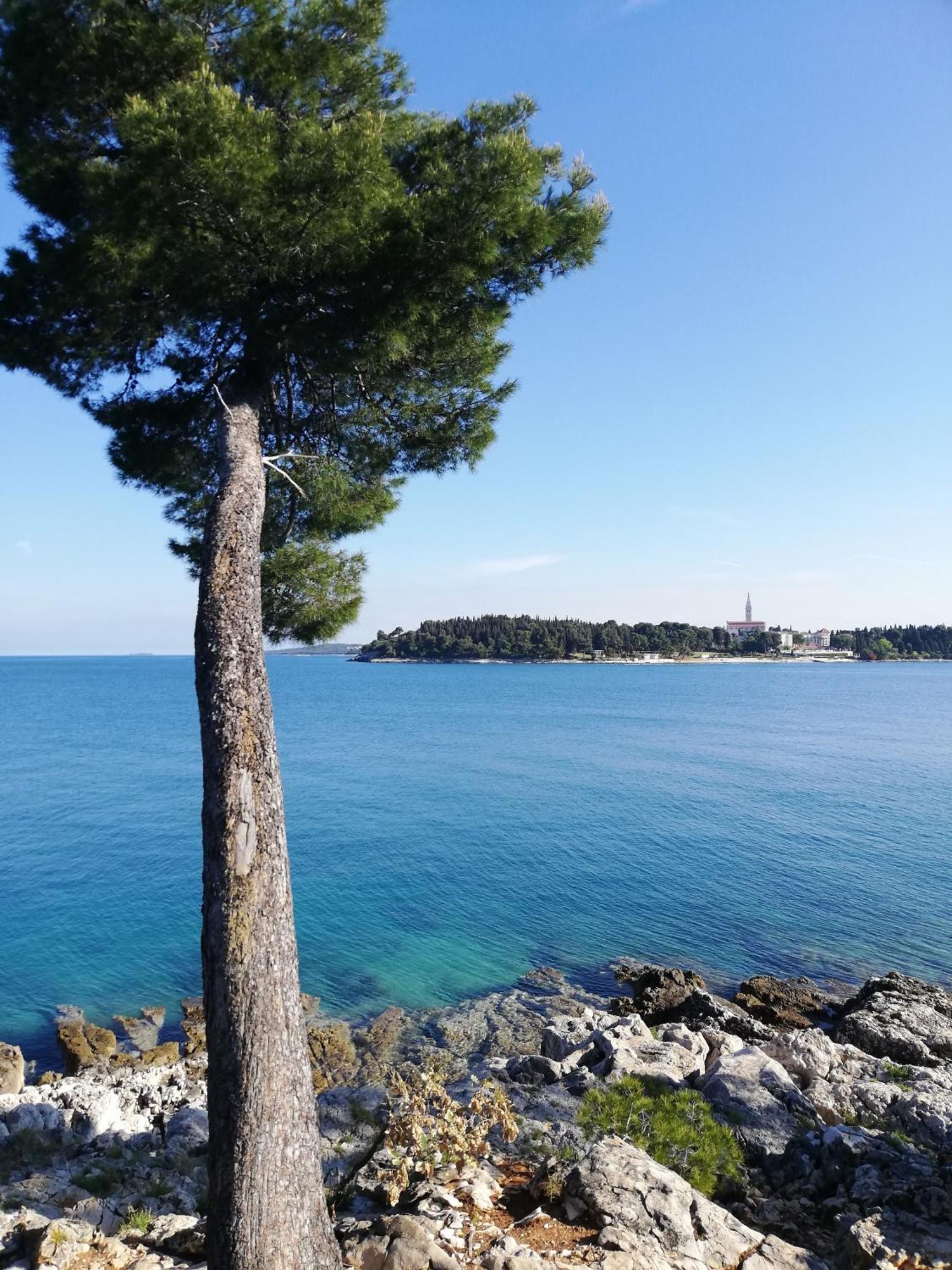 Apartments Poretti For 2,In Center Parking Free In The Yard,6 Min Beach Walk Rovinj Ngoại thất bức ảnh
