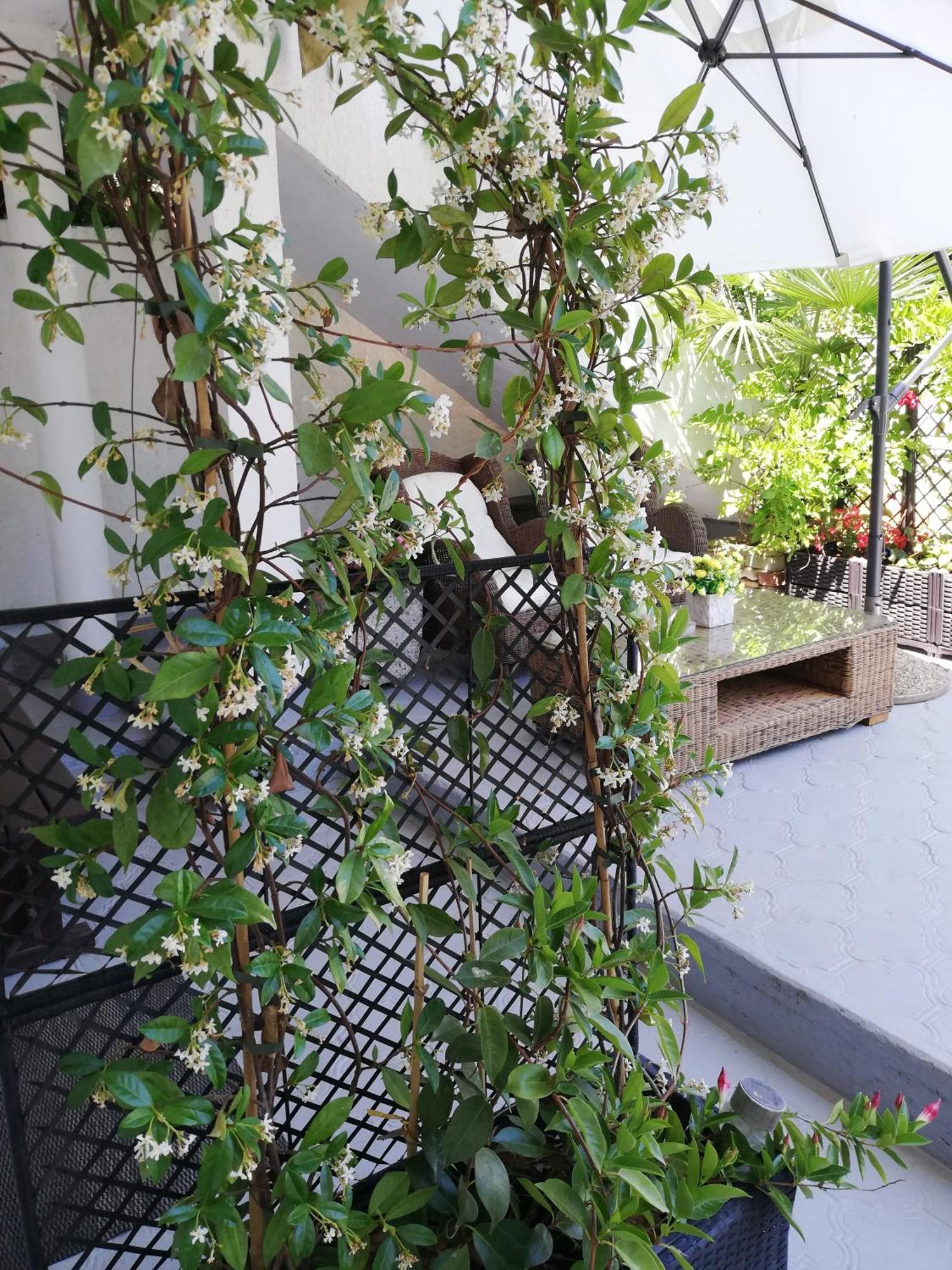 Apartments Poretti For 2,In Center Parking Free In The Yard,6 Min Beach Walk Rovinj Phòng bức ảnh